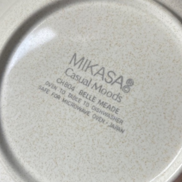 MIKASA Belle Meade Casual Moods Rim Soup Bowl (2 pcs) & Dinner Plate (1pcs) - Picture 5 of 9